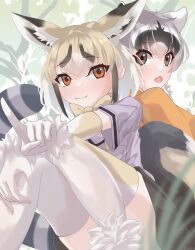 Rule 34 | 2girls, animal ears, back-to-back, black hair, blonde hair, bow, bowtie, brown eyes, brown hair, closed mouth, crab-eating raccoon (kemono friends), day, elbow gloves, extra ears, fang, fox ears, fox girl, fox tail, fur trim, gloves, grey hair, highres, index finger raised, kemono friends, knees up, looking at viewer, looking back, multicolored hair, multiple girls, open mouth, orange eyes, outdoors, outstretched arm, raccoon ears, raccoon girl, raccoon tail, rueppell&#039;s fox (kemono friends), sarutori, shirt, short sleeves, sitting, skirt, smile, tail, thighhighs, white hair