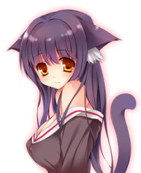 Rule 34 | 1girl, animal ears, bare shoulders, black hair, blush, breasts, cat ears, cat tail, covered erect nipples, fang, highres, long hair, looking at viewer, orange eyes, original, rayn, simple background, solo, tail, white background