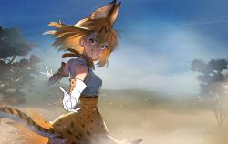 Rule 34 | 10s, 1girl, animal ears, bare shoulders, blonde hair, blue sky, bow, bowtie, breasts, cloud, day, fog, gloves, hair between eyes, kemono friends, looking at viewer, outdoors, pov, reaching, reaching towards viewer, savannah, serval (kemono friends), serval print, serval tail, short hair, sky, sleeveless, smile, solo, summergoat, tail, teeth, thighhighs, tree, wind, wind lift, yellow eyes