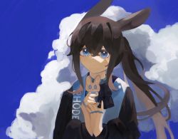 Rule 34 | 1girl, :&lt;, absurdres, amiya (arknights), animal ears, arknights, ascot, black jacket, blue ascot, blue collar, blue eyes, blue sky, brown hair, character doll, clothes writing, cloud, cloudy sky, collar, crossed bangs, hair between eyes, hands up, highres, holding, holding stuffed toy, jacket, jewelry, long hair, long sleeves, looking at viewer, multiple rings, neck ring, outdoors, own hands together, ponytail, rabbit ears, rabbit girl, ring, sidelocks, sky, solo, stuffed animal, stuffed rabbit, stuffed toy, tuanzi jun, upper body, very long hair