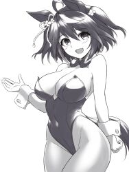 Rule 34 | 1girl, animal ears, bare shoulders, bow, bowtie, breasts, cleavage, cowboy shot, greyscale, hair between eyes, hair ornament, highleg, highleg leotard, horse ears, horse girl, horse tail, kitasan black (umamusume), large breasts, leotard, looking at viewer, monochrome, multicolored hair, nontraditional playboy bunny, open mouth, pantyhose, pataneet, short hair, simple background, smile, solo, strapless, strapless leotard, streaked hair, tail, umamusume, white background, wrist cuffs