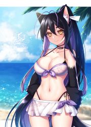 Rule 34 | 1girl, animal ears, antenna hair, arms behind back, beach, bikini, black hair, breasts, claws, cleavage, colored inner hair, day, double bikini, konshin, large breasts, long hair, looking at viewer, multicolored hair, navel, original, slit pupils, smile, solo, swimsuit, tail, yellow eyes