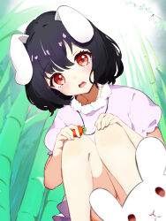 Rule 34 | 1girl, animal ears, bamboo, bamboo forest, black hair, carrot necklace, chikuzen1996, crossed bangs, dress, floppy ears, forest, frilled sleeves, frills, from below, hands on own knees, highres, holding, holding jewelry, holding necklace, inaba mob (touhou), inaba tewi, jewelry, looking at viewer, medium hair, nature, necklace, open mouth, outdoors, pink dress, puffy short sleeves, puffy sleeves, rabbit, rabbit ears, rabbit girl, red eyes, short sleeves, sidelocks, squatting, sunlight, teeth, touhou, upper teeth only, wavy hair