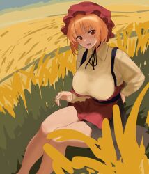 Rule 34 | 1girl, absurdres, aki minoriko, blonde hair, breasts, collared shirt, commentary, hat, highres, large breasts, long sleeves, looking at viewer, mob cap, moriforest1040, outdoors, red eyes, red hat, shirt, short hair, solo, touhou, wheat field, yellow shirt