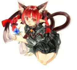 Rule 34 | 1girl, animal ears, blue flower, braid, cat ears, flower, flower request, full body, holding, holding flower, kaenbyou rin, konabetate, looking at viewer, multiple tails, neck bell, nekomata, red eyes, red hair, simple background, solo, tail, touhou, twin braids, twintails, two tails, white background