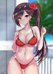 Rule 34 | 1girl, absurdres, azur lane, balcony, bikini, blurry, breasts, brown eyes, brown hair, cleavage, commentary request, contrapposto, cowboy shot, depth of field, flower, hair flower, hair ornament, hibiscus, highres, large breasts, long hair, looking at viewer, red bikini, sayashi (type5 labyrith), side ponytail, smile, solo, standing, swimsuit, zuikaku (azur lane)
