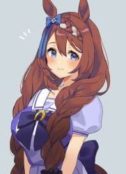 Rule 34 | 1girl, alternate hairstyle, animal ears, blue eyes, bow, bowtie, braid, breasts, brown hair, commentary, grey background, highres, horse ears, horse girl, horse tail, horseshoe ornament, large breasts, long hair, myapicho, pleated skirt, puffy short sleeves, puffy sleeves, purple bow, purple bowtie, purple serafuku, purple shirt, sailor collar, sailor shirt, school uniform, serafuku, shirt, short sleeves, simple background, skirt, solo, super creek (umamusume), tail, tracen school uniform, twin braids, umamusume, upper body, very long hair