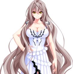 Rule 34 | 1girl, arcelias pendragon, braid, breasts, cleavage, grey hair, highres, large breasts, light brown hair, long hair, looking at viewer, smile, solo, standing, transparent background, unionism quartet, very long hair, yellow eyes