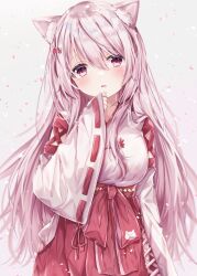 Rule 34 | 1girl, animal ear fluff, animal ears, blush, breasts, cat ears, cat girl, cherry blossoms, fang, gradient background, grey background, hair between eyes, hair ornament, hakama, hakama skirt, hand on own face, highres, japanese clothes, kimono, large breasts, long hair, looking at viewer, miko, nijisanji, open mouth, pink eyes, pink hair, red skirt, ribbon-trimmed sleeves, ribbon trim, shiina yuika, shiina yuika (3rd costume), side slit, skin fang, skirt, slit pupils, solo, sorashima (117), upper body, virtual youtuber, white kimono, wide sleeves