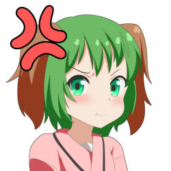Rule 34 | 1girl, :t, anger vein, animal ears, blush, cato (monocatienus), commentary request, furrowed brow, green eyes, green hair, kasodani kyouko, looking at viewer, pink shirt, pout, pouty lips, shirt, shirt under shirt, short hair, simple background, solo, touhou, upper body, white background