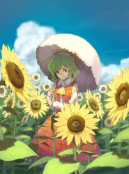 Rule 34 | 1girl, blue sky, cloud, day, field, flower, flower field, green hair, highres, holding, holding umbrella, kazami yuuka, long sleeves, looking at viewer, outdoors, parasol, plaid, plaid skirt, plaid vest, red eyes, red skirt, red vest, shiratama (hockey), shirt, short hair, skirt, sky, smile, solo, standing, sunflower, sunflower field, touhou, umbrella, vest, white shirt, yellow neckwear