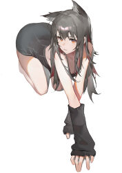 Rule 34 | 1girl, absurdres, all fours, animal ear fluff, animal ears, arknights, arm warmers, black arm warmers, black hair, highres, long hair, looking at viewer, multicolored hair, parted lips, red eyes, red hair, rui (woyoudabing rui), simple background, solo, streaked hair, texas (arknights), two-tone hair, white background, wolf ears, wolf girl