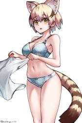 Rule 34 | 1girl, animal ears, blonde hair, blue bra, blue panties, blush, bow, bow panties, bra, breasts, cat ears, cat tail, cleavage, highres, kemono friends, large breasts, looking at viewer, navel, open mouth, panties, riro (breakthrough rr), sand cat (kemono friends), shirt, unworn shirt, short hair, solo, tail, underwear, yellow eyes