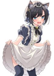 Rule 34 | 1girl, alternate costume, animal ear fluff, animal ears, apron, apron lift, bell, black bow, black bowtie, black hair, blue bow, blue eyes, blush, bow, bowtie, braid, cat ears, cat girl, clothes lift, enmaided, fang, feet out of frame, frilled apron, frilled shirt, frills, grey shirt, grey thighhighs, hair bow, highres, hololive, leaning forward, looking at viewer, maid, maid apron, medium hair, neck bell, oozora subaru, open mouth, puffy short sleeves, puffy sleeves, shadow, shinomiya ino, shirt, short sleeves, sidelocks, simple background, solo, swept bangs, thighhighs, thighs, virtual youtuber, white background