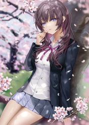 Rule 34 | 1girl, black jacket, blue skirt, blurry, blurry background, breasts, brown hair, cherry blossoms, collared shirt, depth of field, dress shirt, flower, highres, holding, holding petal, in tree, jacket, lloule, long hair, long sleeves, looking at viewer, medium breasts, miniskirt, neck ribbon, original, parted lips, petals, pink flower, pink ribbon, pleated skirt, purple eyes, ribbon, shirt, sitting, sitting in tree, skirt, solo, tree, white shirt