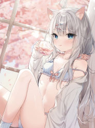 Rule 34 | 1girl, :q, ahoge, animal ear fluff, animal ears, aqua eyes, bad id, bad pixiv id, bare legs, bare shoulders, blurry, blurry background, bow, bra, breasts, cafe, cat ears, cat girl, cherry blossoms, collarbone, commentary, grey hair, hair ornament, hairclip, hand up, highres, holding, long hair, long sleeves, mafuyu (chibi21), navel, off shoulder, open clothes, open shirt, original, panties, pantyshot, petals, pink bow, shirt, sitting, small breasts, socks, solo, striped bra, striped clothes, striped socks, swimsuit, thighs, tongue, tongue out, underwear, white hair, white shirt, white sleeves, window