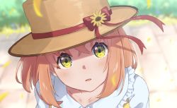 Rule 34 | 1girl, absurdres, bad id, bad pixiv id, blurry, blurry background, blush, bow, brown hat, cino (amairoka), close-up, collarbone, day, depth of field, flower, frilled shirt collar, frills, green eyes, hat, hat bow, hat flower, highres, honma himawari, long hair, looking at viewer, nijisanji, orange hair, outdoors, parted lips, portrait, red bow, solo, sunflower, sunflower petals, virtual youtuber, yellow flower