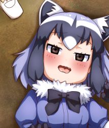 Rule 34 | 10s, 2girls, animal ears, black bow, black gloves, black hair, blush, bow, brown eyes, commentary request, common raccoon (kemono friends), fang, fennec (kemono friends), from above, fur collar, gloves, grey hair, kemono friends, kobamiso (kobalt), multicolored hair, multiple girls, purple hair, raccoon ears, wavy mouth, white hair