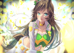 Rule 34 | 1girl, :d, absurdres, aqua eyes, brown hair, commentary, crop top, green shirt, hair ornament, hairclip, highres, jacket, long hair, long sleeves, looking at viewer, midriff, mizuku, mr. c.b. (umamusume), open clothes, open jacket, open mouth, shirt, single sleeve, smile, solo, stomach, strapless, strapless shirt, tail, umamusume, upper body, very long hair, white jacket