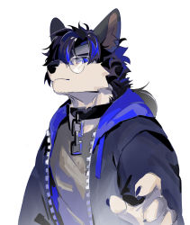 Rule 34 | 1boy, animal ears, black collar, blue eyes, blue hair, body fur, collar, furry, furry male, glasses, hair over one eye, highres, hood, hooded jacket, jacket, looking at viewer, male focus, multicolored hair, open clothes, open jacket, original, round eyewear, seato-hao, short hair, snout, solo, streaked hair, upper body, wolf boy, wolf ears, zipper