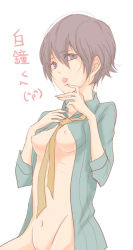 Rule 34 | 1girl, androgynous, atlus, breasts, open clothes, open shirt, persona, persona 4, reverse trap, shirogane naoto, shirt, short hair, solo, tomboy, translated
