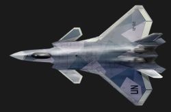 Rule 34 | aircraft, airplane, asterozoa, fighter jet, from above, grey background, j-20, jet, military, military vehicle, no humans, original, real life, realistic, solo, united nations, vehicle focus