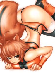 Rule 34 | 1girl, ahoge, animal ears, antenna hair, arc system works, arched back, ass, back, blazblue, blazblue: continuum shift, boots, breast press, breasts, brown eyes, brown hair, fumio (rsqkr), makoto nanaya, orange skirt, panties, pantyshot, revealing clothes, simple background, skirt, solo, squirrel ears, squirrel tail, tail, thighhighs, thong, top-down bottom-up, underwear, upskirt, white background