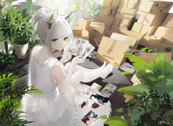 Rule 34 | 1girl, animal ear fluff, animal ears, arknights, ass, bare shoulders, box, cat ears, closed mouth, dress, green eyes, highres, holding, kal&#039;tsit (arknights), looking at viewer, off shoulder, omone hokoma agm, plant, short hair, sitting, solo, thighhighs, white dress