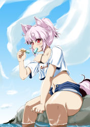 Rule 34 | 10s, 1girl, 2013, animal ears, bare shoulders, black bra, blush, bra, casual, cloud, collarbone, crop top, crop top overhang, day, eating, ice, inubashiri momiji, izou, midriff, navel, off shoulder, open fly, outdoors, partially submerged, pier, red eyes, rock, silver hair, sitting, sitting on rock, sky, soaking feet, solo, tail, text focus, touhou, underwear, unzipped, water, wolf ears, wolf tail, zanshomimai