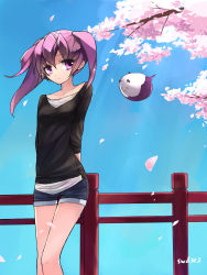 Rule 34 | 1girl, aisha landar, angkor (elsword), artist name, bad id, bad pixiv id, casual, cherry blossoms, day, elsword, highres, long hair, petals, purple eyes, purple hair, shirt, shorts, sky, smile, solo, swd3e2, twintails, void princess (elsword)