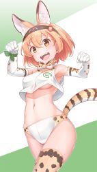 Rule 34 | 10s, 1girl, animal ears, armpits, arms up, bare shoulders, blonde hair, bow, bowtie, breasts, buruma, cowboy shot, crop top, crop top overhang, elbow gloves, gloves, hairband, highres, japan racing association, kemono friends, konnyaku (kk-monmon), looking at viewer, medium breasts, navel, open mouth, ribbon, serval (kemono friends), serval print, serval tail, shiny skin, short hair, smile, solo, tail, thighhighs, two-tone background, underboob, wrist ribbon, yellow eyes