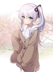 Rule 34 | 1girl, black ribbon, blurry, blurry background, blush, breasts, brown jacket, child (isoliya), closed mouth, collared shirt, commentary request, depth of field, dress shirt, eyebrows hidden by hair, flower, green eyes, hair between eyes, hair ribbon, high ponytail, honkai (series), honkai impact 3rd, jacket, long hair, long sleeves, looking at viewer, off shoulder, open clothes, open jacket, pink flower, ribbon, shirt, side ponytail, sidelocks, silver hair, sleeves past fingers, sleeves past wrists, small breasts, solo, theresa apocalypse, tree, v-shaped eyebrows, white shirt
