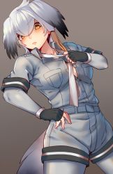 Rule 34 | 10s, 1girl, bad id, bad pixiv id, belt, bird tail, black gloves, black hair, blush, bodystocking, breast pocket, breasts, breasts apart, buttons, center opening, collarbone, collared shirt, commentary request, cowboy shot, dutch angle, fingerless gloves, gloves, grey necktie, grey shirt, grey shorts, hair between eyes, hand on own hip, hand up, highres, kemono friends, lips, long hair, looking at viewer, loose necktie, low ponytail, medium breasts, multicolored hair, necktie, no bra, orange hair, partially unbuttoned, pocket, roten (rotenburo), shirt, shoebill (kemono friends), short sleeves, shorts, side ponytail, silver hair, simple background, solo, standing, sweat, tail, yellow eyes