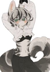 Rule 34 | 1girl, animal ears, arm behind head, arms up, black bra, black hair, black pants, blush stickers, body fur, bra, cat ears, cat girl, cat tail, collared shirt, commentary request, cowboy shot, crop top, cropped shirt, eyes visible through hair, frilled shirt, frills, furry, furry female, gomafuto, green eyes, grey fur, grey hair, long sleeves, multicolored hair, navel piercing, original, pants, piercing, shirt, short hair, signature, simple background, slit pupils, solo, standing, streaked hair, stretching, tail, two-tone hair, underwear, whiskers, white background, white fur, white shirt