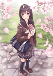 Rule 34 | 1girl, bag, black socks, blazer, blue skirt, blush, bookbag, brown eyes, brown footwear, brown hair, brown jacket, cherry blossoms, closed mouth, collared shirt, commentary request, day, head tilt, highres, holding, jacket, kneehighs, loafers, long hair, long sleeves, looking at viewer, looking to the side, open clothes, open jacket, original, outdoors, plaid, plaid skirt, pleated skirt, school bag, school uniform, shirt, shoes, skirt, smile, socks, solo, standing, white shirt, yukimaru217