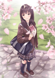 1girl bag black_socks blazer blue_skirt blush bookbag brown_eyes brown_footwear brown_hair brown_jacket cherry_blossoms closed_mouth collared_shirt commentary_request day female_focus head_tilt highres holding jacket kneehighs loafers long_hair long_sleeves looking_at_viewer looking_to_the_side open_clothes open_jacket original outdoors plaid_clothes plaid_skirt pleated_skirt school_bag school_uniform shirt shoes skirt smile socks solo standing white_shirt yukimaru217