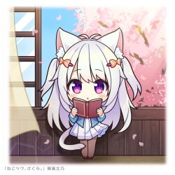Rule 34 | 1girl, :o, animal ear fluff, animal ears, antenna hair, blue jacket, blue sky, blush stickers, book, bow, brown footwear, brown pantyhose, cat ears, cat girl, cat tail, chibi, curtains, day, dress, grey hair, hair bow, hair ornament, hairclip, holding, holding book, hotaka ayano, indoors, jacket, long hair, long sleeves, looking at viewer, nekotsuku sakura, open book, open clothes, open jacket, open window, pantyhose, parted lips, petals, pleated dress, puffy long sleeves, puffy sleeves, ryuuka sane, shoes, sky, solo, tail, translation request, transparent, tree, two side up, very long hair, white dress, window, yellow bow