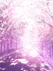 Rule 34 | absurdres, cherry blossoms, commentary, dappled sunlight, highres, light particles, no humans, original, path, petals, pink theme, road, scenery, skyrick9413, sunlight, tree, vanishing point