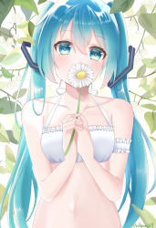 Rule 34 | 1girl, arm strap, bikini, bikini top only, blue eyes, blue hair, blush, collarbone, covering own mouth, flower, hair between eyes, hair ornament, halterneck, hatsune miku, highres, holding, holding flower, long hair, looking at viewer, navel, noneon319, ribbon, solo, swimsuit, twintails, twitter username, upper body, very long hair, vocaloid, white bikini, white flower, white ribbon