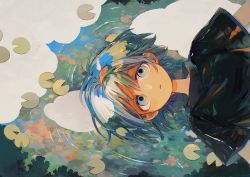 Rule 34 | 1boy, afloat, black shirt, blue hair, from above, green eyes, green hair, highres, ka (marukogedago), lily pad, looking at viewer, multicolored hair, original, parted lips, reflection, ripples, shirt, short hair, short sleeves, solo, upper body