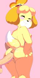 Rule 34 | 1boy, 1girl, absurdres, animal crossing, animal ears, breasts, cum, cum on ass, dog, dog ears, dog girl, dog tail, dream-cassette, erection, closed eyes, facing viewer, furry, highres, isabelle (animal crossing), nintendo, nipples, nude, penis, pussy, simple background, solo focus, tagme, tail, testicles, yellow fur