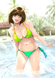 Rule 34 | 1girl, :d, absurdres, arms at sides, bikini, brown hair, collarbone, contrapposto, green bikini, green eyes, highres, light rays, looking at viewer, open mouth, original, pool, round teeth, shiny skin, short hair, shu-z, smile, solo, standing, submerged, sunlight, swimsuit, teeth, wading, water