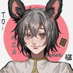 Rule 34 | 1girl, animal ears, blush, capelet, chocolate, closed mouth, commentary, cookie (touhou), grey hair, hair between eyes, heinrich (fernanderuddle), highres, looking at viewer, mouse ears, nazrin, nyon (cookie), red eyes, short hair, smile, solo, touhou, upper body, white capelet