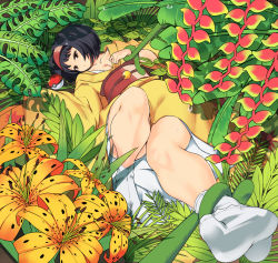 Rule 34 | 1girl, black hair, bob cut, breasts, brown eyes, cleavage, collarbone, creatures (company), erika (pokemon), expressionless, feet, floral print, flower, full body, game freak, gym leader, hairband, highres, japanese clothes, kimono, knee up, leaf, legs, lily (flower), long sleeves, looking at viewer, lying, nintendo, no shoes, obi, on back, outdoors, plant, poke ball, pokemon, pokemon hgss, restrained, sash, short hair, socks, solo, sweat, tabi, tm (hanamakisan), vines, white socks, wide sleeves