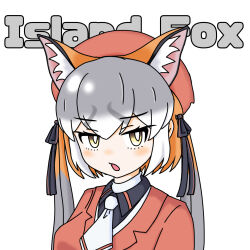 Rule 34 | 1girl, animal ears, blazer, extra ears, fox ears, fox girl, grey hair, hat, highres, island fox (kemono friends), jacket, kemono friends, kemono friends v project, long hair, looking at viewer, multicolored hair, necktie, o87, orange hair, ribbon, shirt, simple background, solo, twintails, two-tone hair, upper body, virtual youtuber, yellow eyes