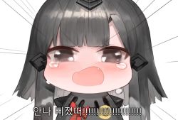 Rule 34 | 1girl, bad id, bad pixiv id, black dress, black eyes, black hair, blush, chibi, crying, crying with eyes open, dokomon, dress, emphasis lines, fang, girls&#039; frontline, hair ornament, highres, korean commentary, korean text, nyto (girls&#039; frontline), nyto larvae (girls&#039; frontline), ribbon, simple background, smiley face, solo, tears, translation request, white background