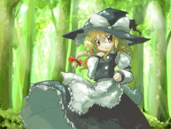 Rule 34 | 1girl, apron, blonde hair, bow, braid, brown eyes, female focus, forest, hair bow, hat, kirisame marisa, looking at viewer, nature, neki-t, plant, puffy short sleeves, puffy sleeves, red bow, short sleeves, single braid, solo, touhou, tree, waist apron, witch hat