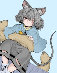 Rule 34 | 1girl, animal, animal ears, animal on lap, capelet, capybara, crossed ankles, dress, expressionless, fe (tetsu), food, fruit, grey capelet, grey dress, grey hair, grey skirt, hair between eyes, hand on animal, highres, looking at viewer, mouse ears, mouse girl, mouse tail, nazrin, on lap, orange (fruit), red eyes, shoes, short hair, simple background, sitting, skirt, skirt cutout, sleeping animal, solo, tail, touhou, white background