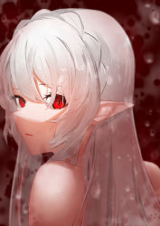 Rule 34 | 1girl, absurdres, ao oni (onioni-aoi), arknights, bare shoulders, braid, commentary, highres, long hair, looking at viewer, looking back, parted lips, pointy ears, portrait, red background, red eyes, silver hair, slit pupils, solo, vampire, warfarin (arknights)