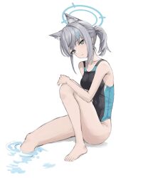 Rule 34 | 1girl, animal ear fluff, animal ears, barefoot, black one-piece swimsuit, blue archive, blue eyes, breasts, competition swimsuit, covered navel, cross hair ornament, extra ears, full body, grey hair, hair ornament, halo, highres, jin (7kijin), low ponytail, medium breasts, medium hair, mismatched pupils, multicolored clothes, multicolored swimsuit, official alternate costume, one-piece swimsuit, shiroko (blue archive), shiroko (swimsuit) (blue archive), simple background, sitting, soaking feet, solo, swimsuit, white background, wolf ears